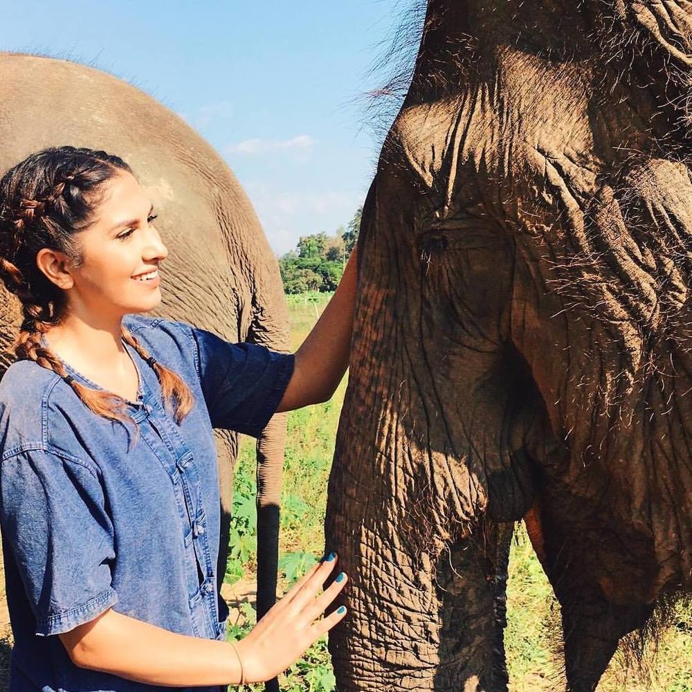 Meet your Posher, Shima